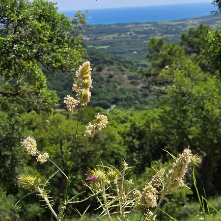 La Croix-valmer, La Ferme, Le Vergeron, Entre Terre Et Апартаменты Ла Круа-Вальме