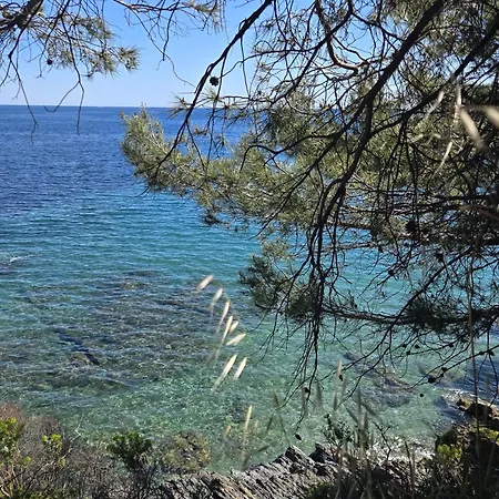 La Croix-valmer, La Ferme, Le Vergeron, Entre Terre Et