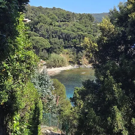 La Croix-valmer, La Ferme, Le Vergeron, Entre Terre Et Ла Круа-Вальме